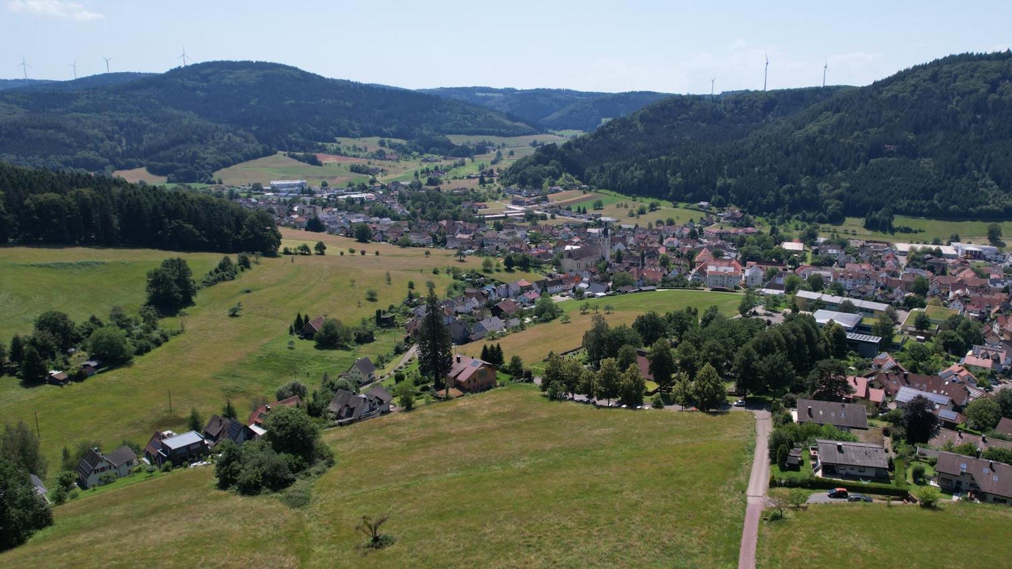 Schwarzwaldblick * Seelbach (Baden-Wurttemberg)