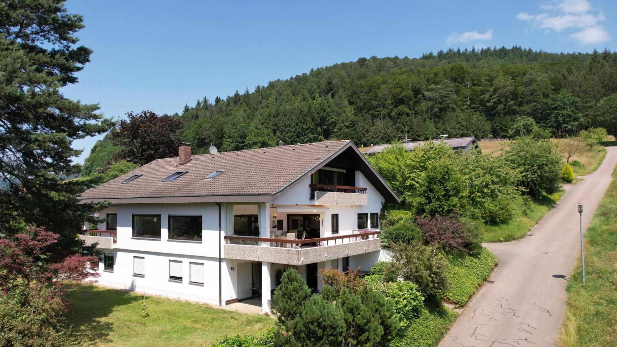 Schwarzwaldblick