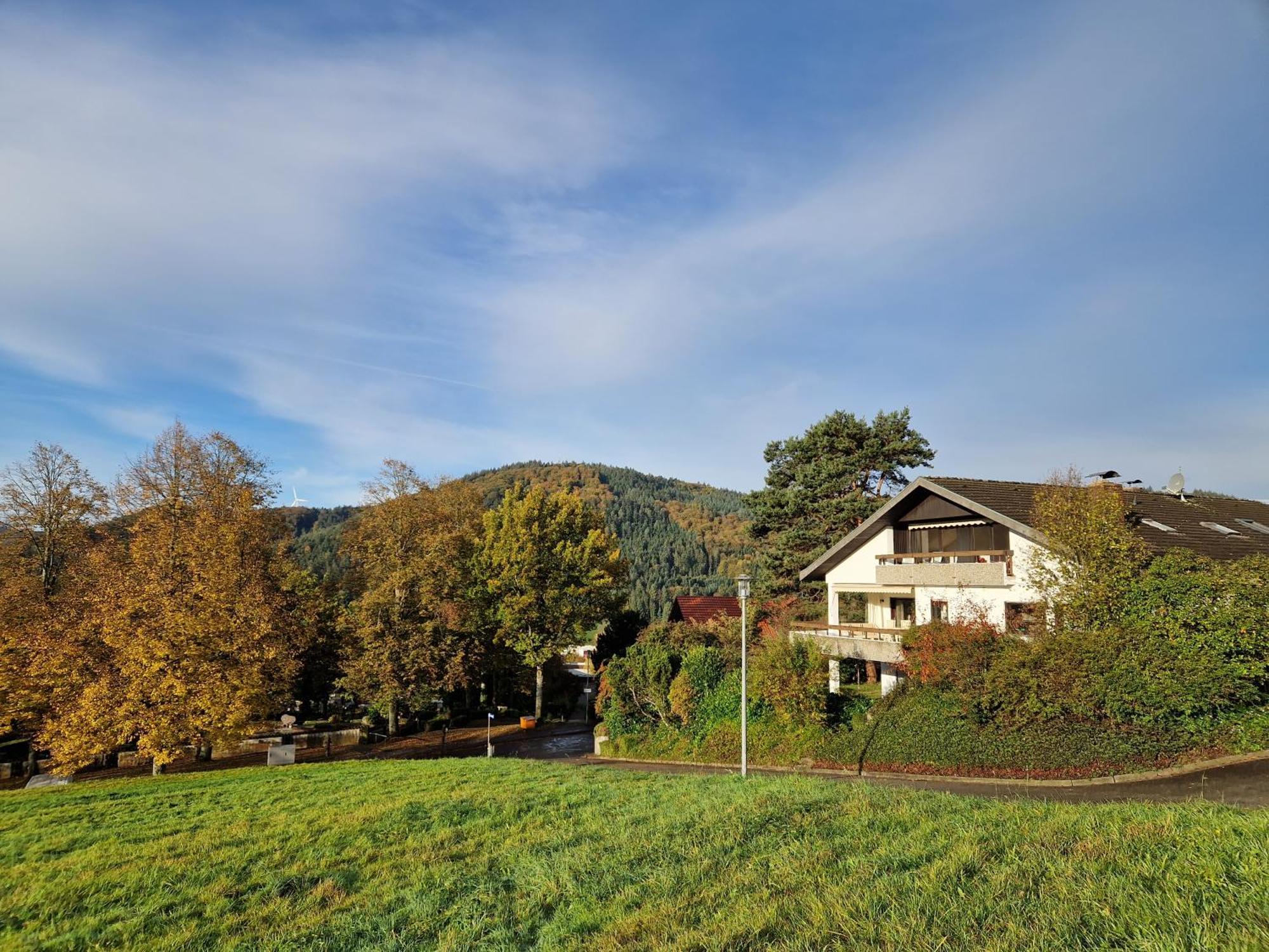 Schwarzwaldblick Apartment Seelbach (Baden-Wurttemberg)