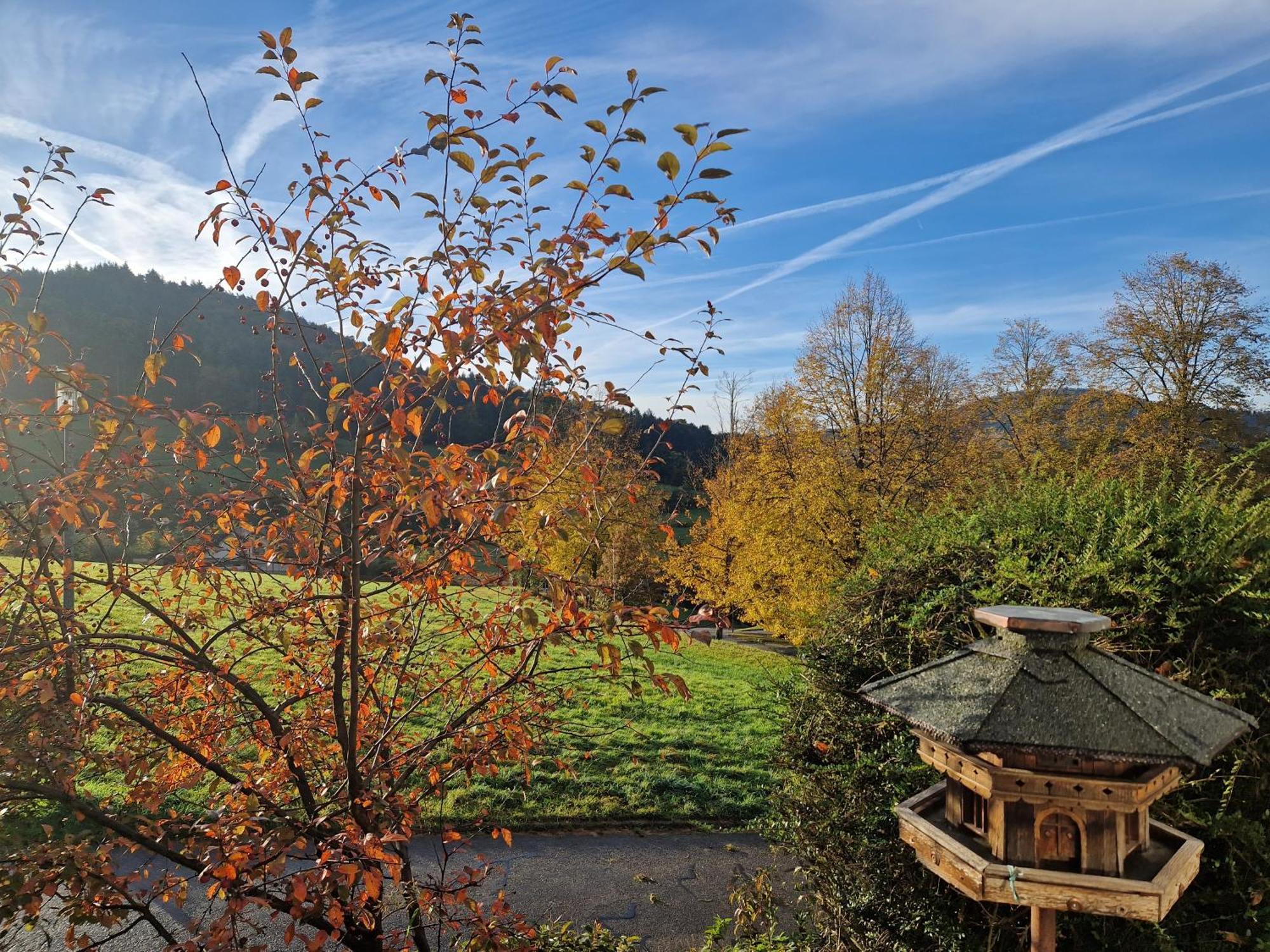 Schwarzwaldblick *