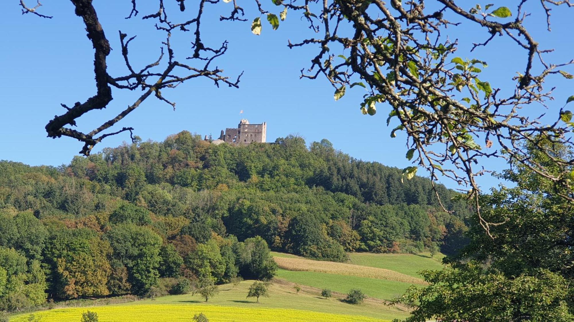 Schwarzwaldblick Apartment *