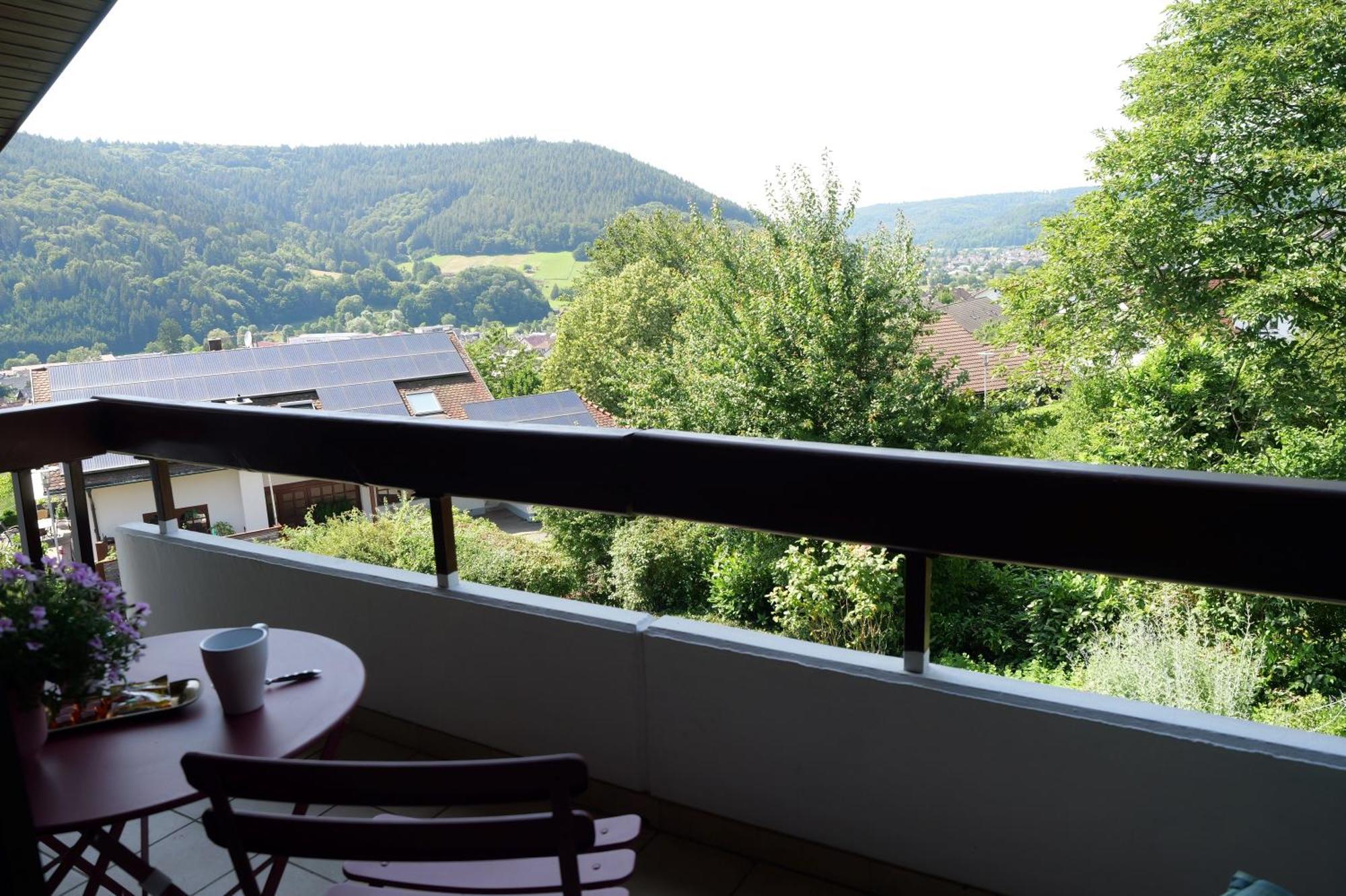 Schwarzwaldblick Apartment Seelbach (Baden-Wurttemberg)
